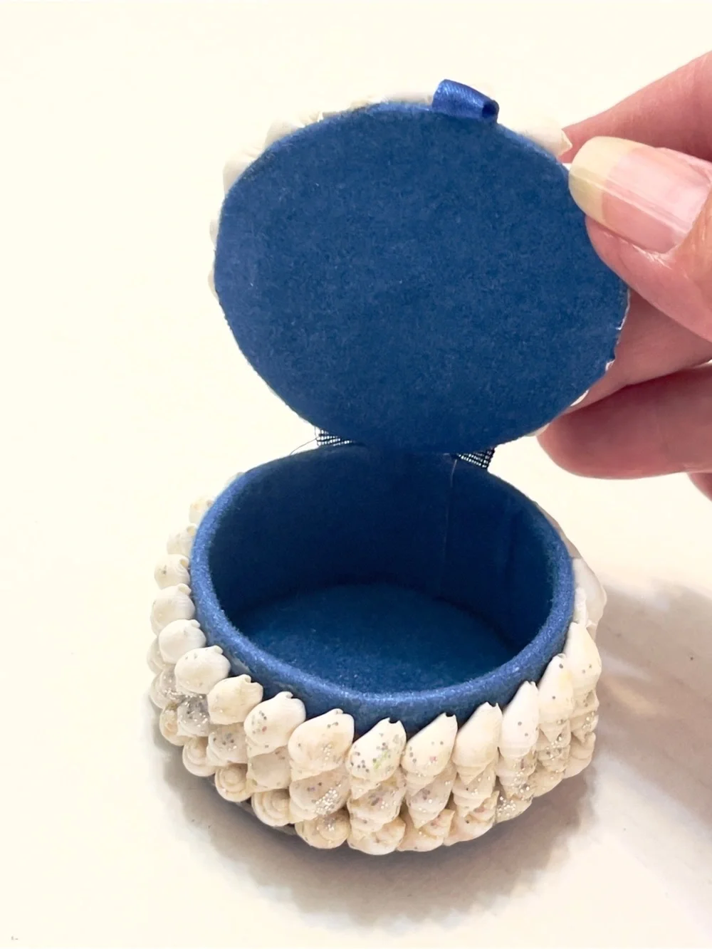 Sea shell round trinket jewelry box glitter coastal